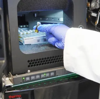 Manipulation échantillons en laboratoire